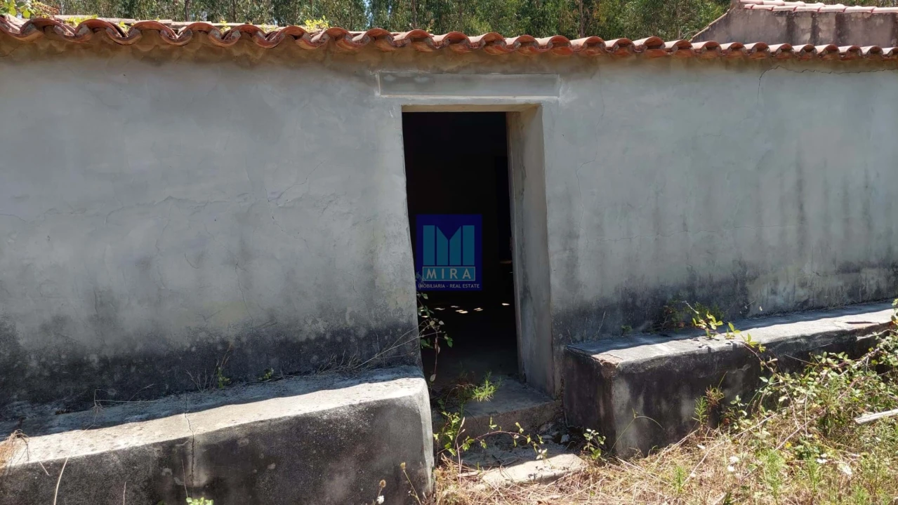 Quinta T6 para Venda em Aljezur Foto 18