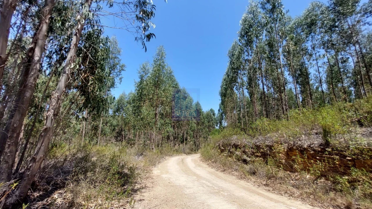 Quinta T6 para Venda em Aljezur Foto 14