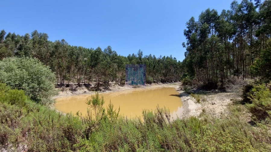 Quinta T6 para Venda em Aljezur Foto 6