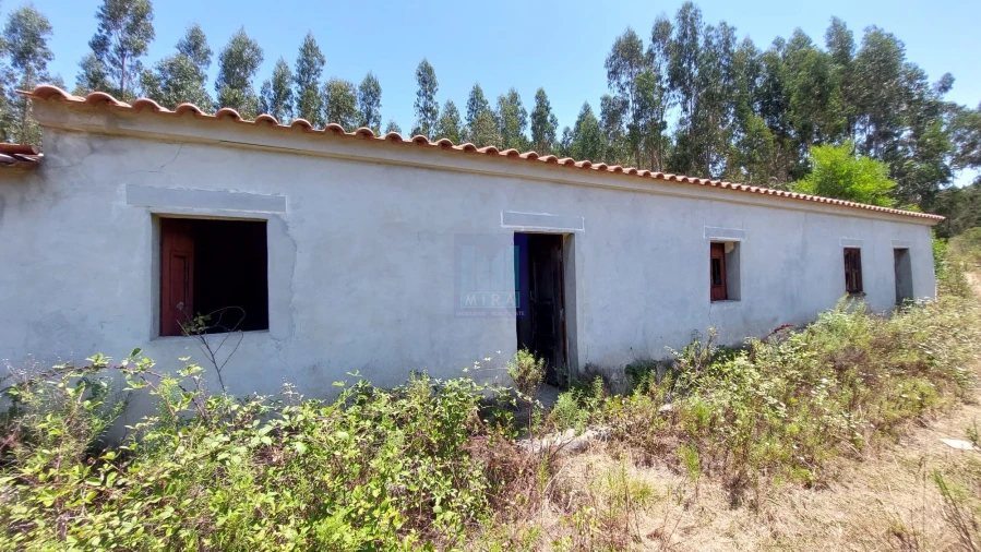 Quinta T6 para Venda em Aljezur Foto 3
