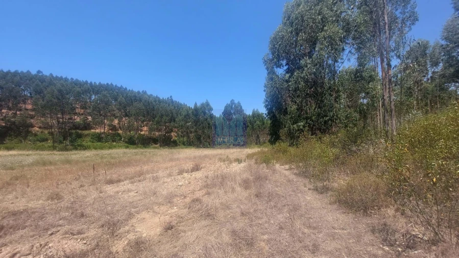 Quinta T6 para Venda em Aljezur Foto 21