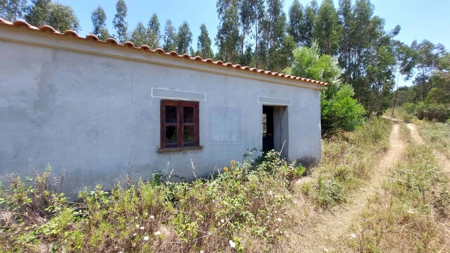 Quinta T6 para Venda em Aljezur Foto 17