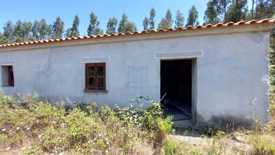 Quinta T6 para Venda em Aljezur Foto 16