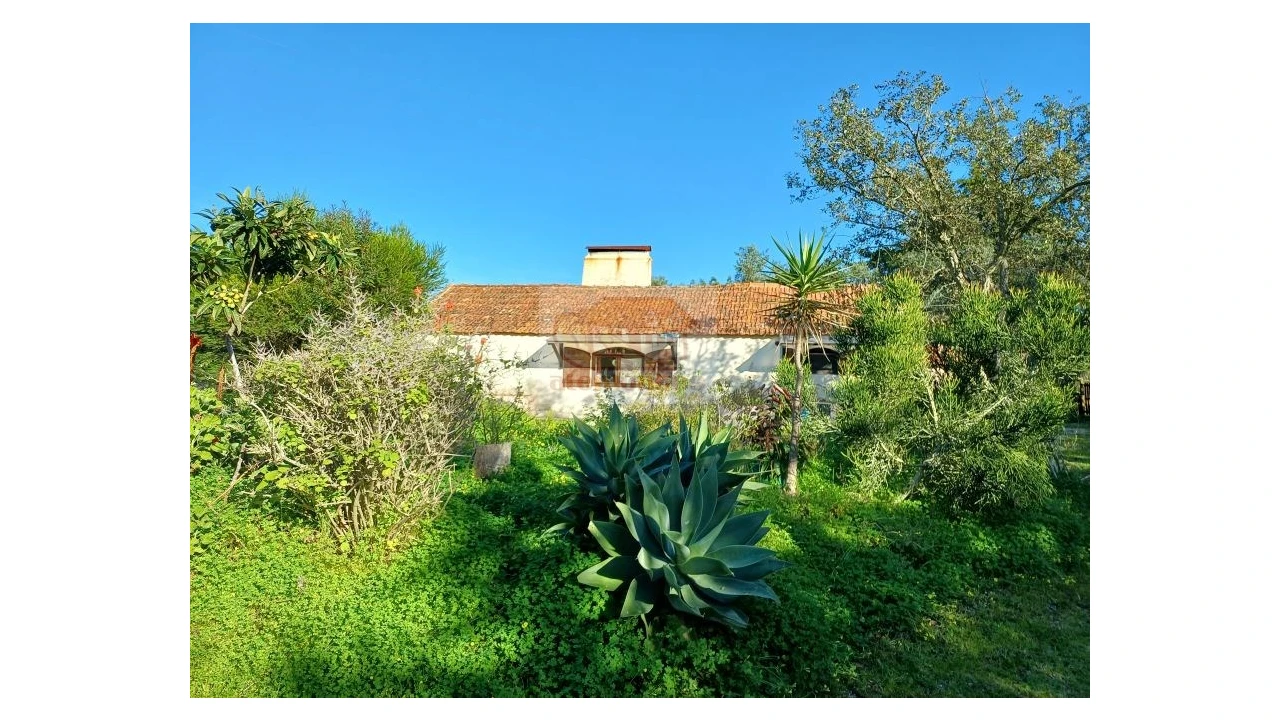 Quinta T2 para Venda em Melides Foto 1