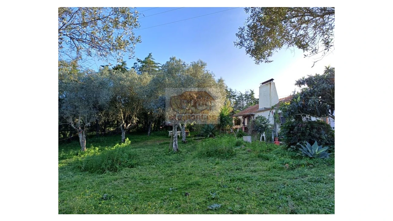 Quinta T2 para Venda em Melides Foto 2