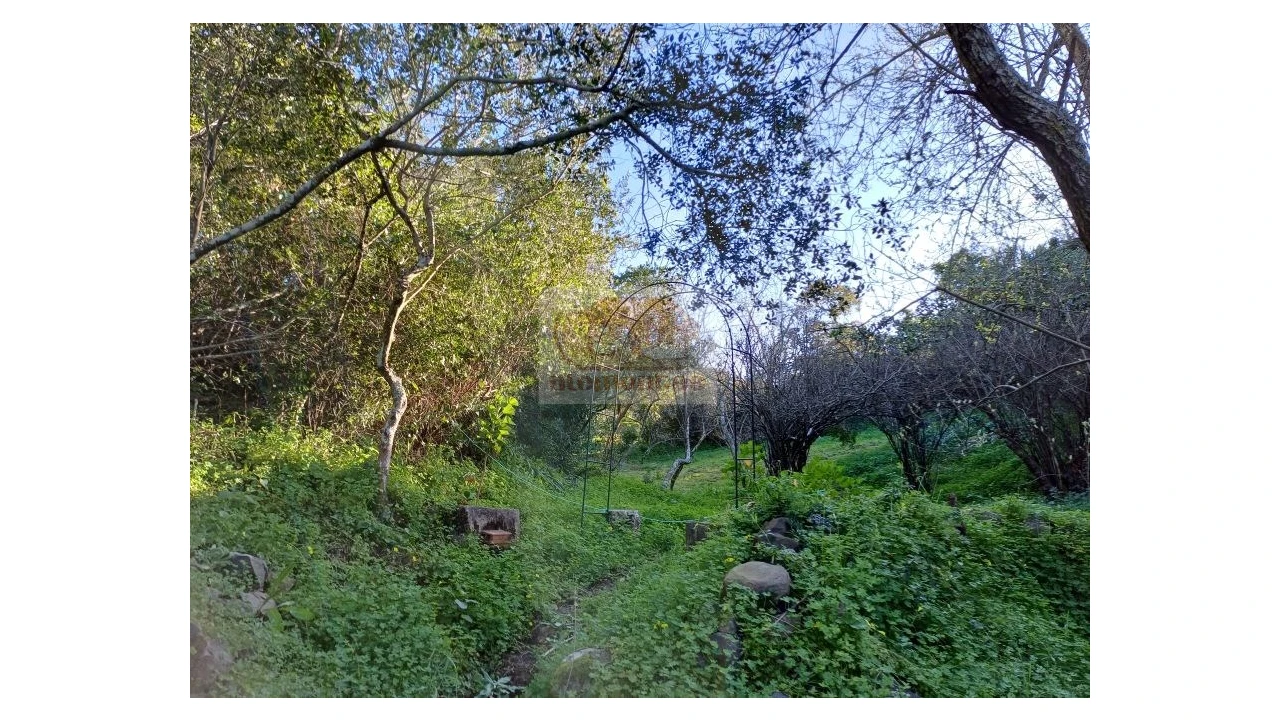 Quinta T2 para Venda em Melides Foto 5