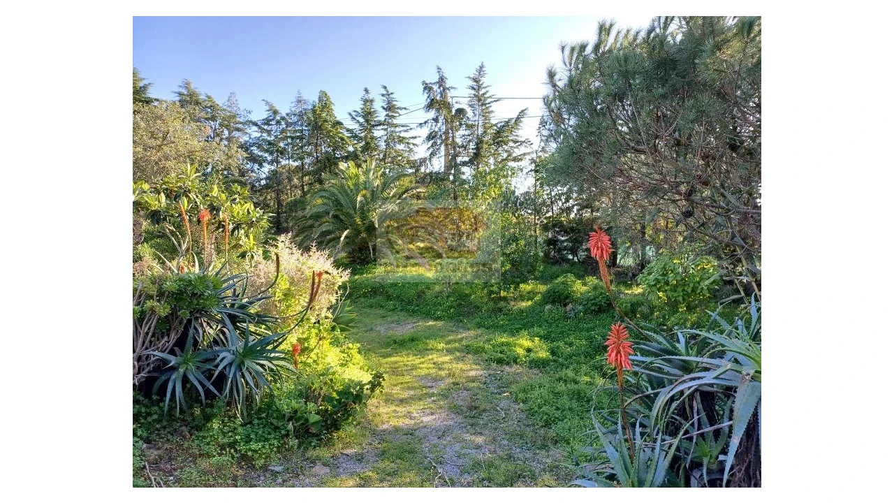 Quinta T2 para Venda em Melides Foto 3