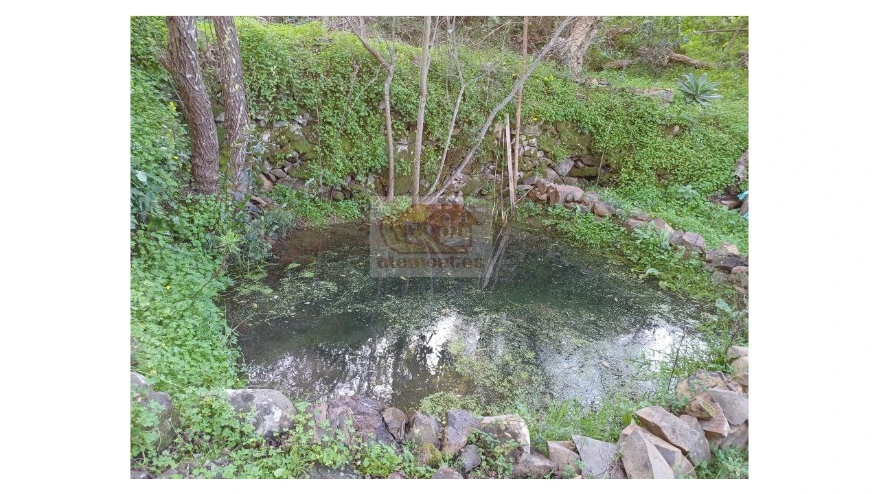 Quinta T2 para Venda em Melides Foto 8