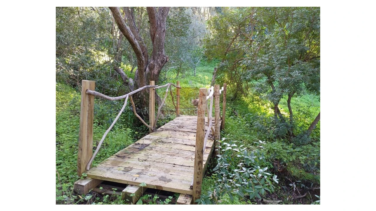 Quinta T2 para Venda em Melides Foto 9