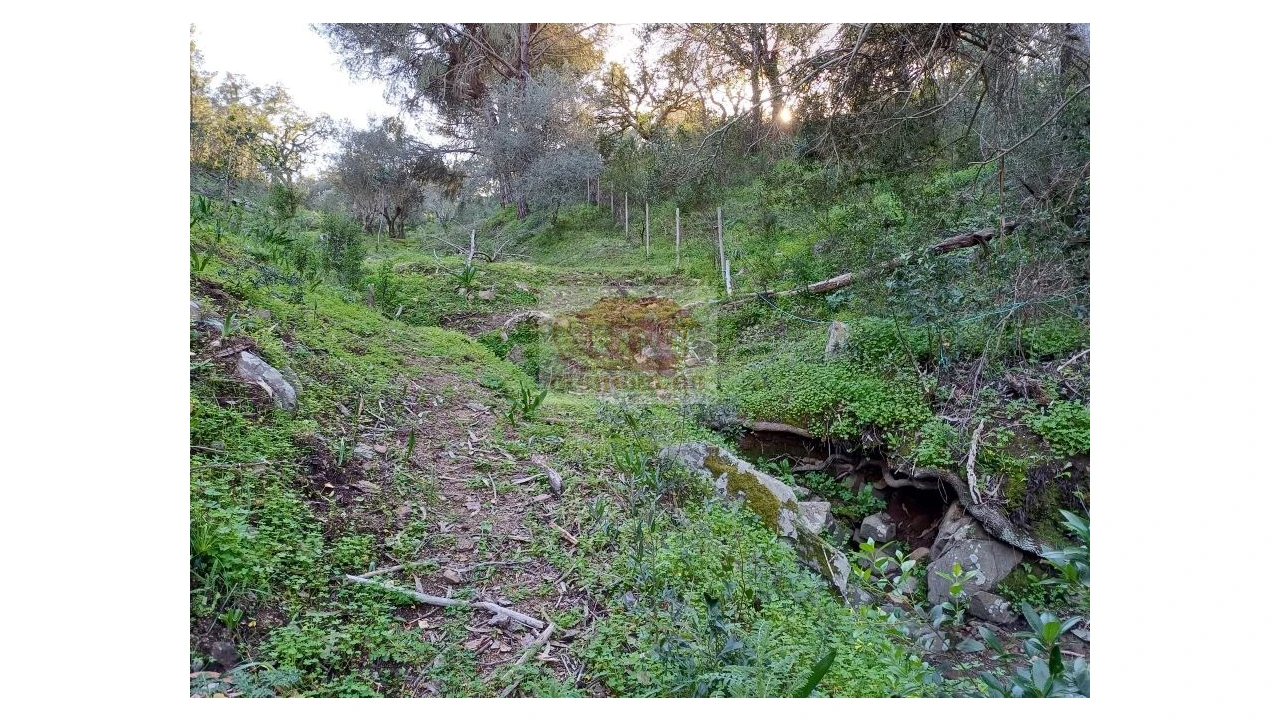 Quinta T2 para Venda em Melides Foto 11