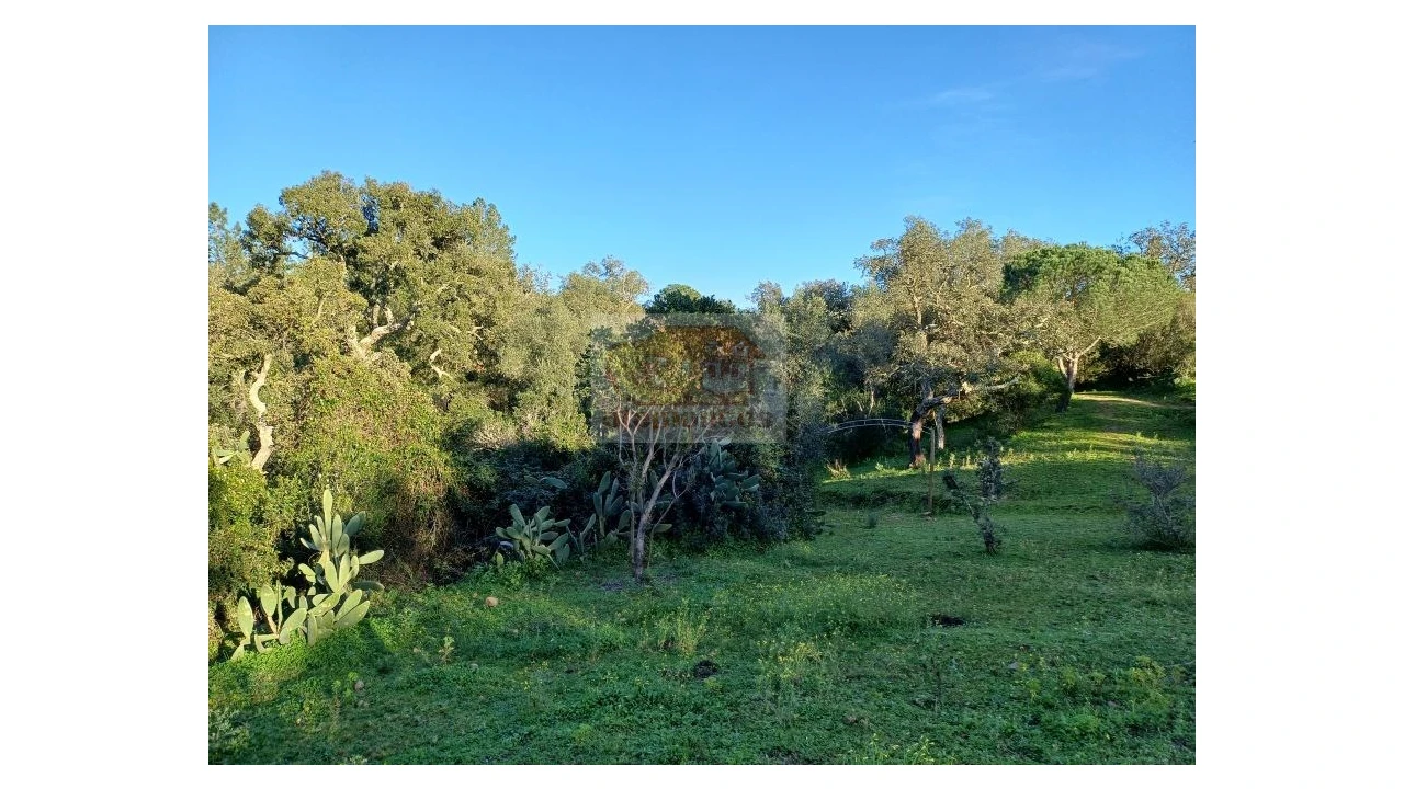 Quinta T2 para Venda em Melides Foto 12