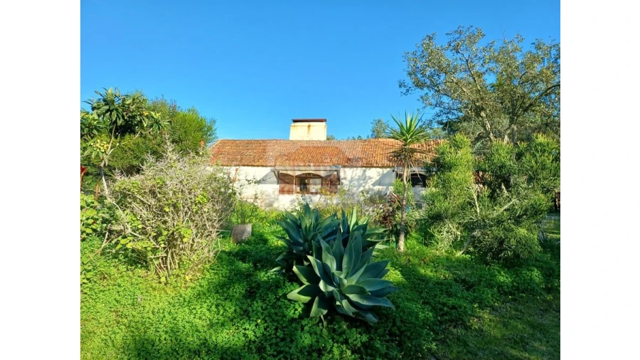 Quinta T2 para Venda em Melides Foto 1