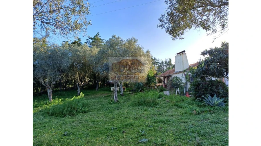 Quinta T2 para Venda em Melides Foto 2