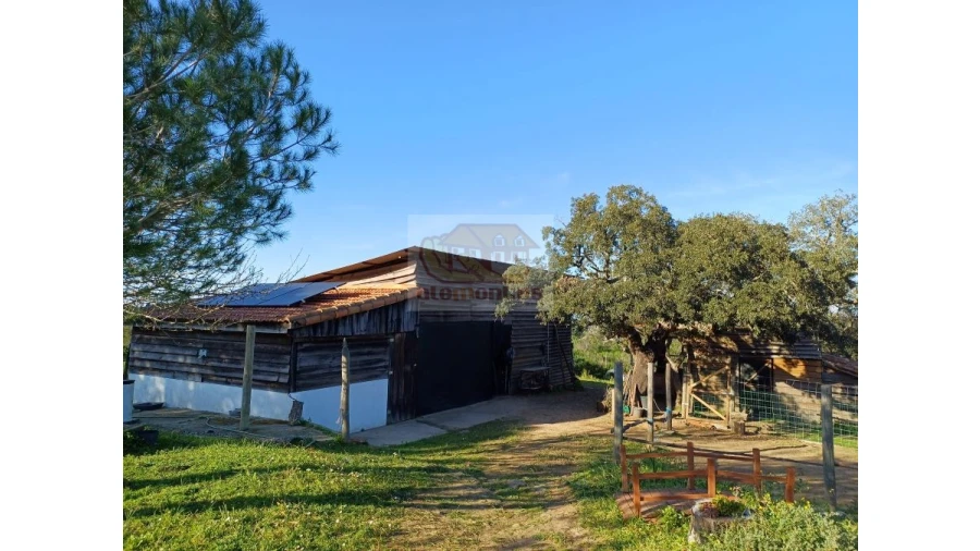 Quinta T2 para Venda em Melides Foto 4