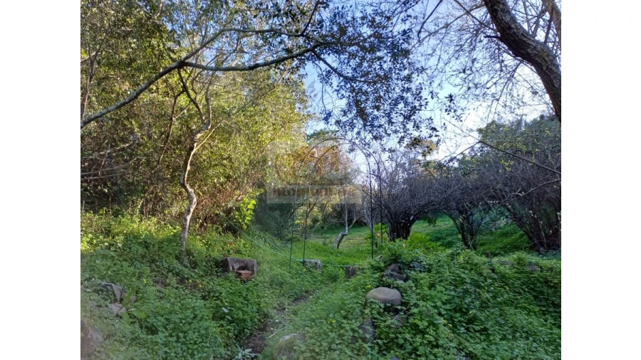 Quinta T2 para Venda em Melides Foto 5