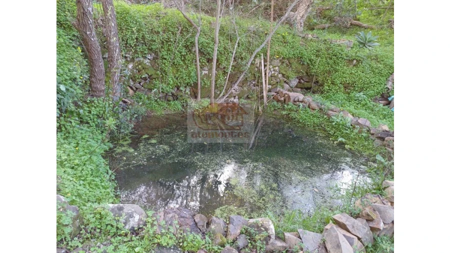 Quinta T2 para Venda em Melides Foto 8