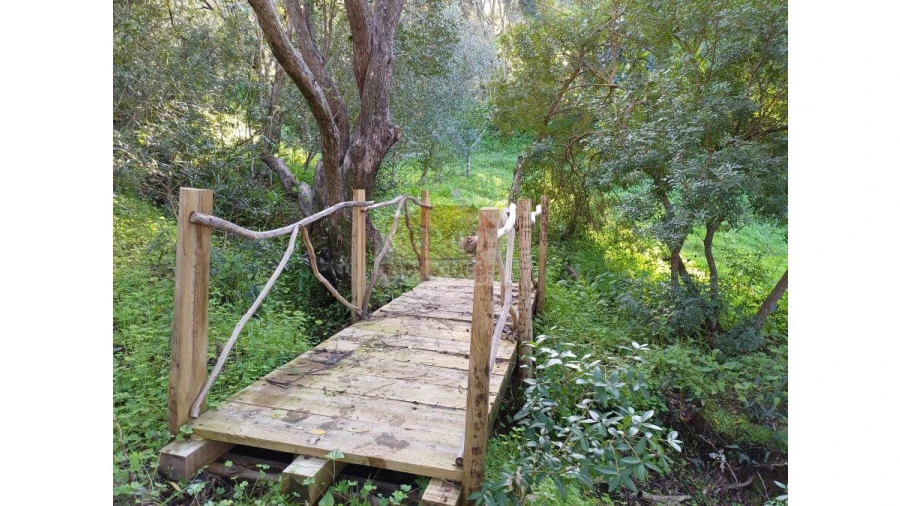 Quinta T2 para Venda em Melides Foto 9