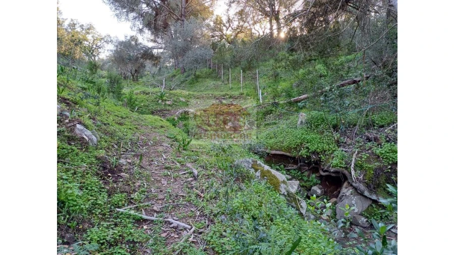 Quinta T2 para Venda em Melides Foto 11