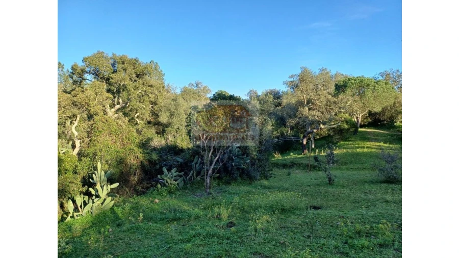 Quinta T2 para Venda em Melides Foto 12