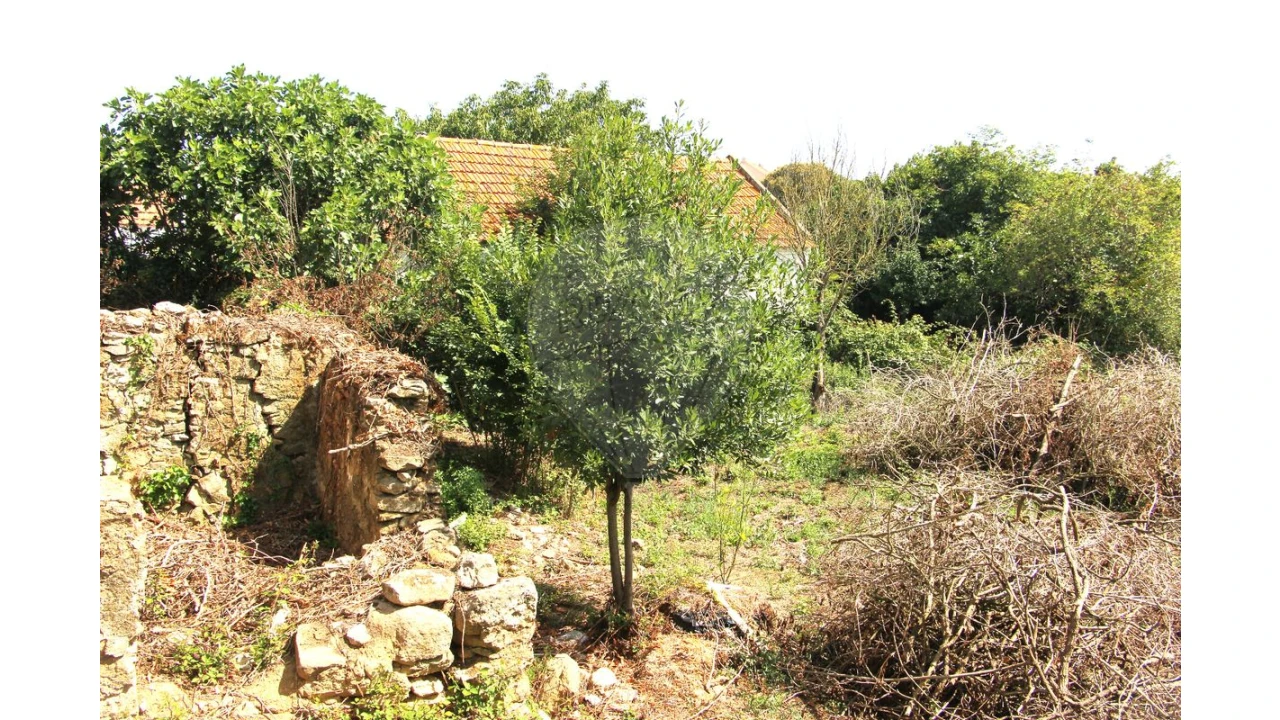 Moradia T1 para Venda em Santiago dos Velhos Foto 2