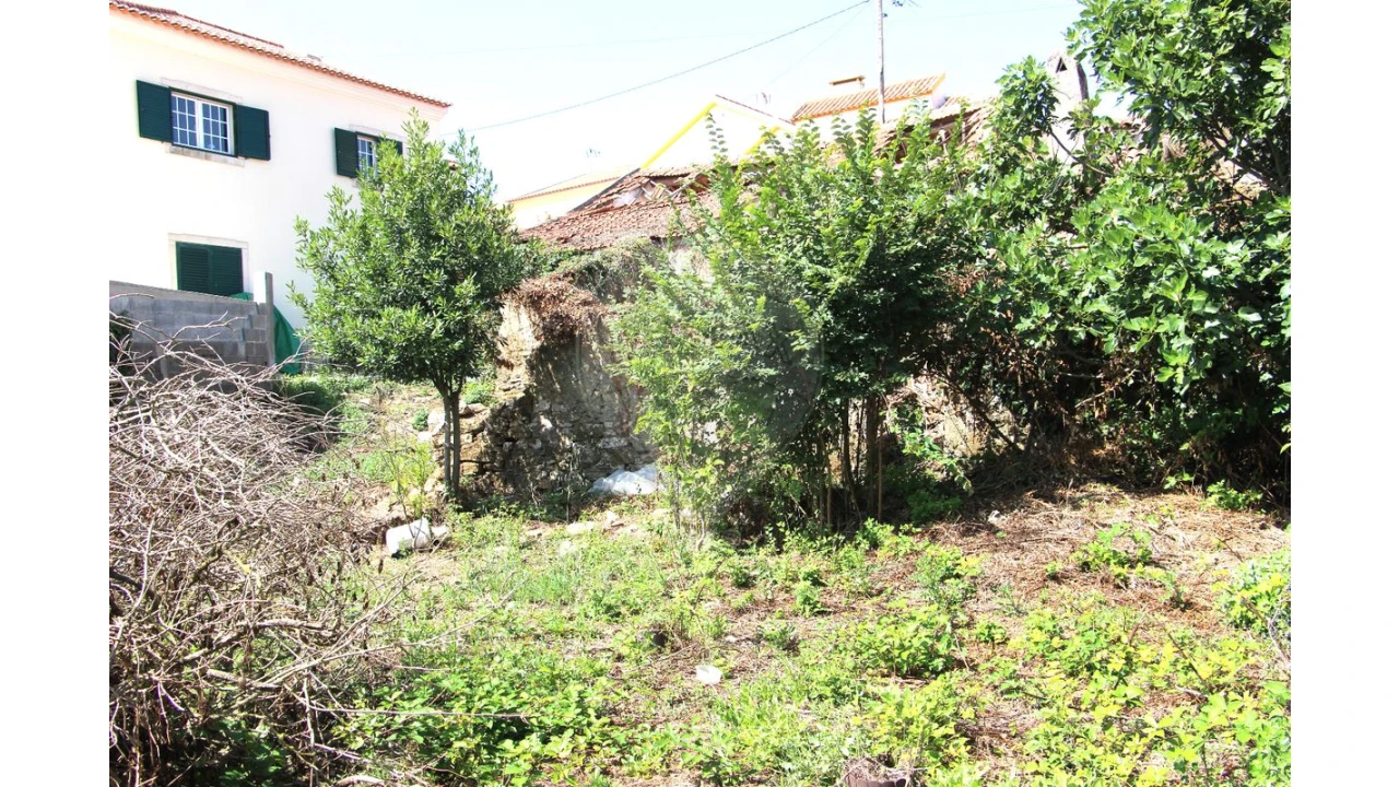 Moradia T1 para Venda em Santiago dos Velhos Foto 3