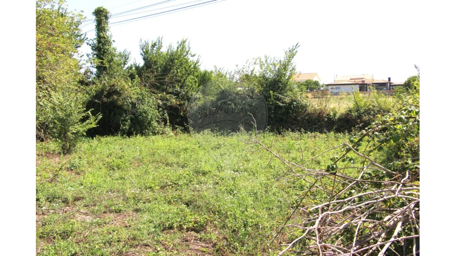 Moradia T1 para Venda em Santiago dos Velhos Foto 5