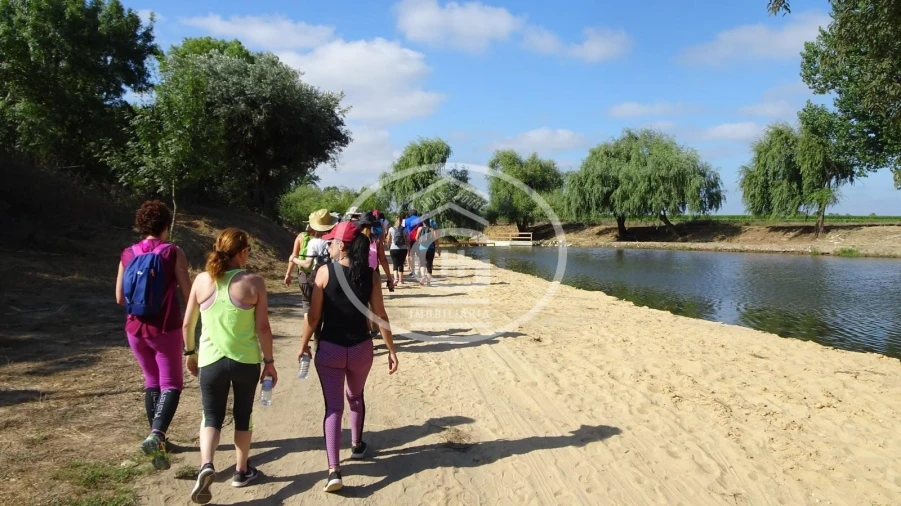 Moradia T3 para Venda em Alpiarça Foto 9