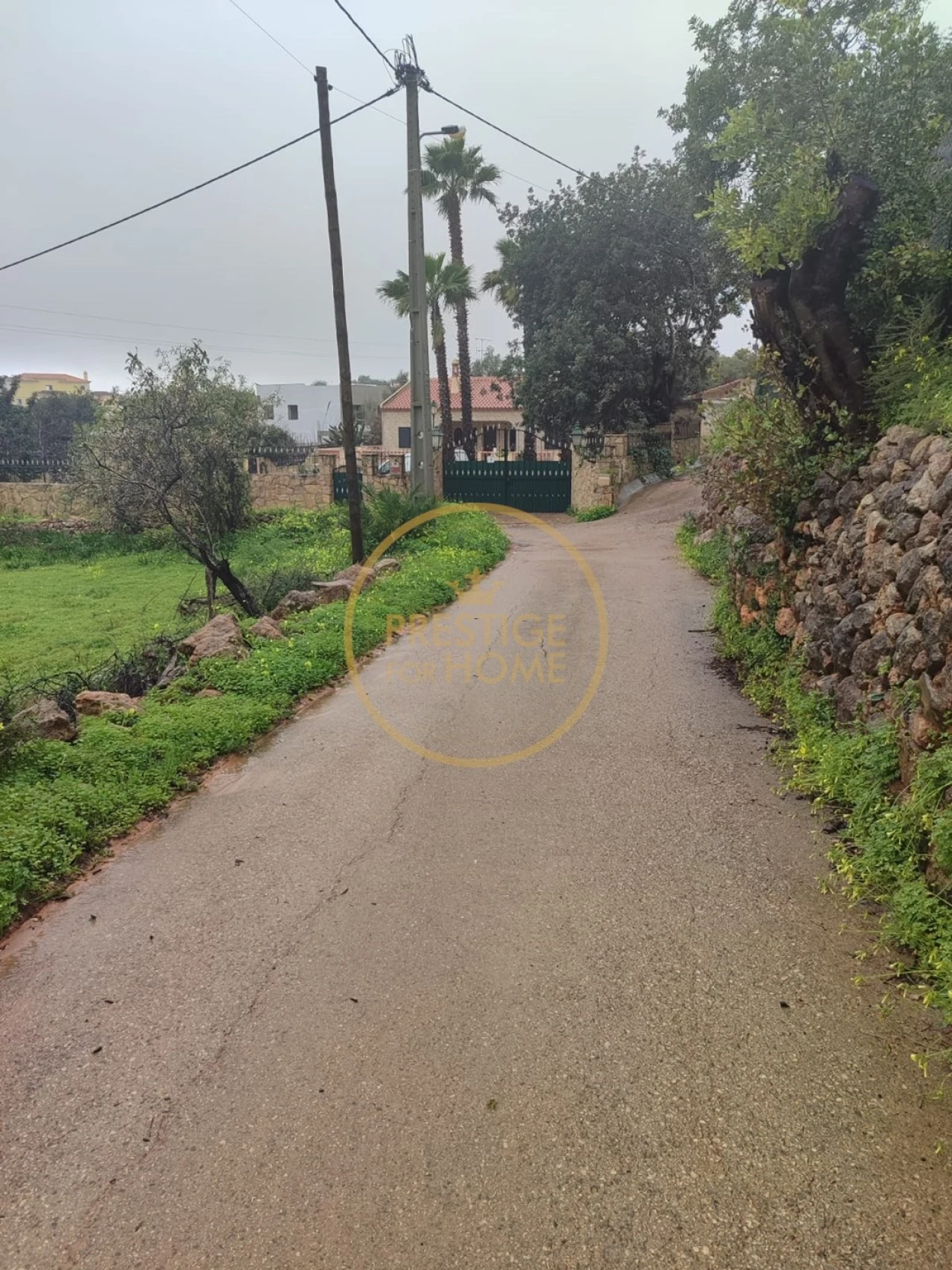 Terreno para Venda em Loule (São Clemente) Foto 6