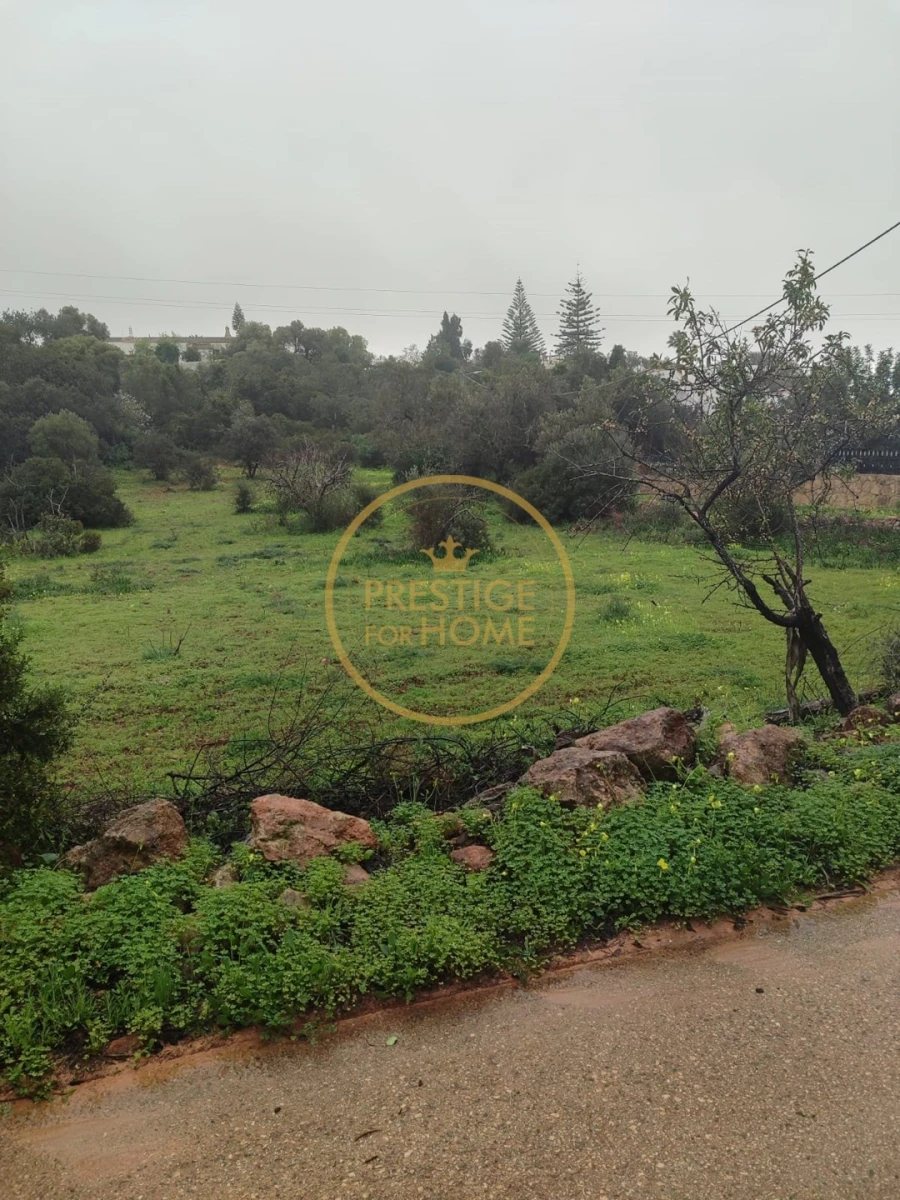 Terreno para Venda em Loule (São Clemente) Foto 3