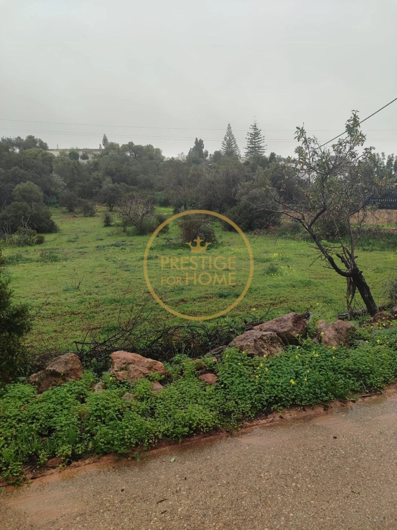 Terreno para Venda em Loule (São Clemente) Foto 3