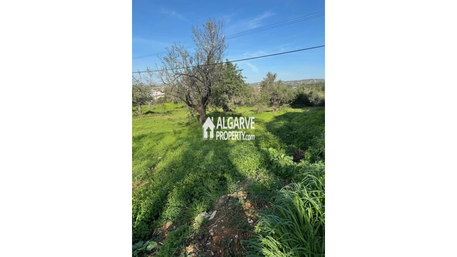 Terreno para Venda em Boliqueime Foto 2