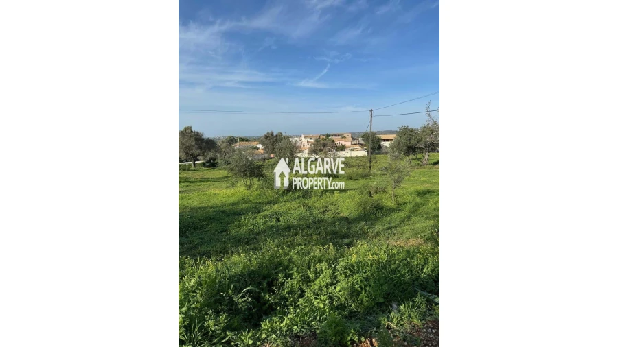 Terreno para Venda em Boliqueime Foto 3