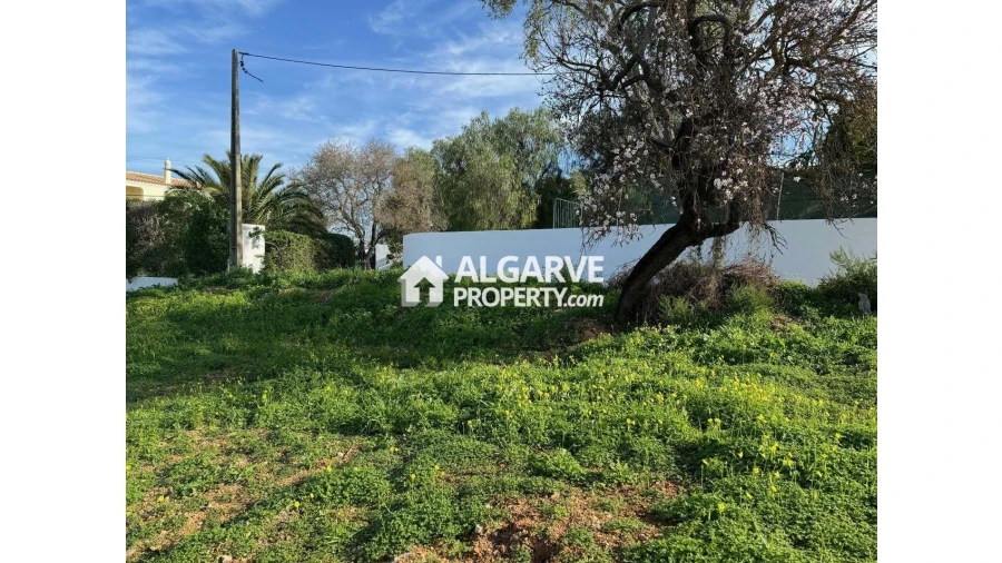 Terreno para Venda em Boliqueime Foto 11