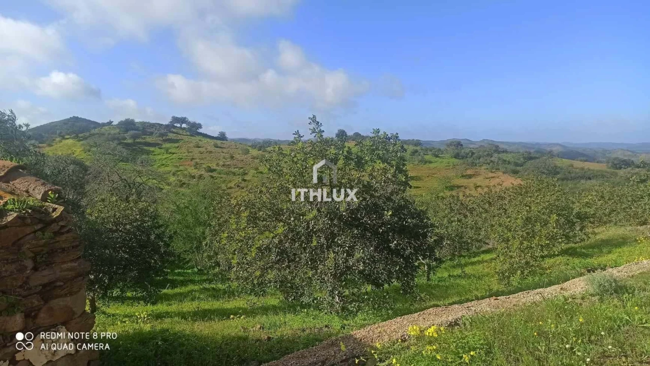 Terreno para Venda em Odeleite Foto 17