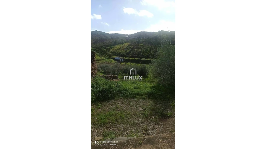 Terreno para Venda em Odeleite Foto 11