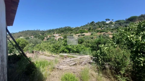 Quinta T7 para Venda em Monchique