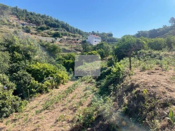 Quinta T7 para Venda em Monchique