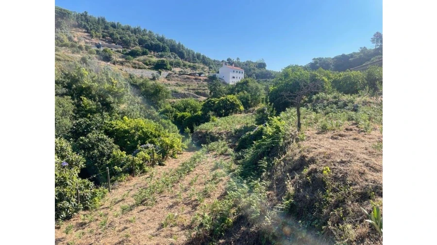 Quinta T7 para Venda em Monchique Foto 2