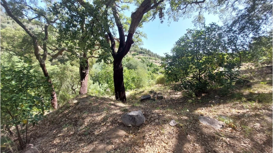 Quinta T7 para Venda em Monchique Foto 4