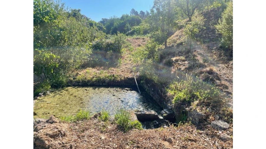 Quinta T7 para Venda em Monchique Foto 11