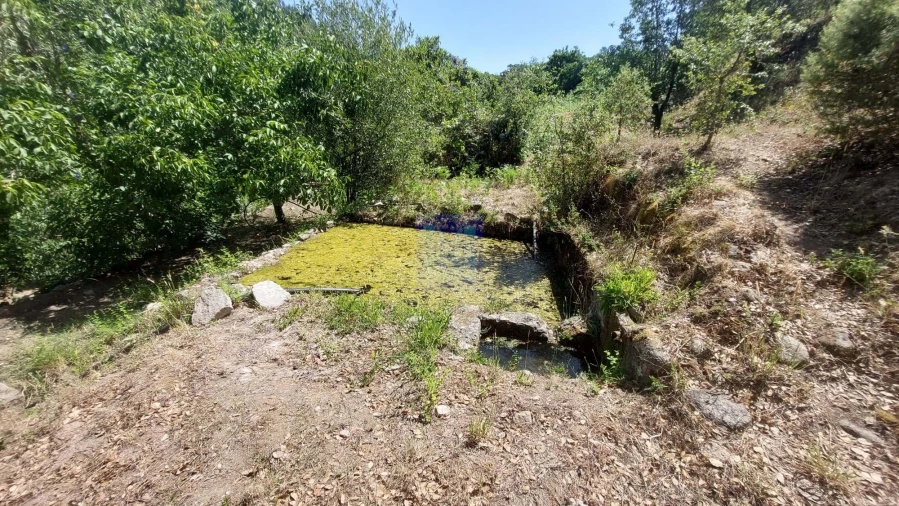 Quinta T7 para Venda em Monchique