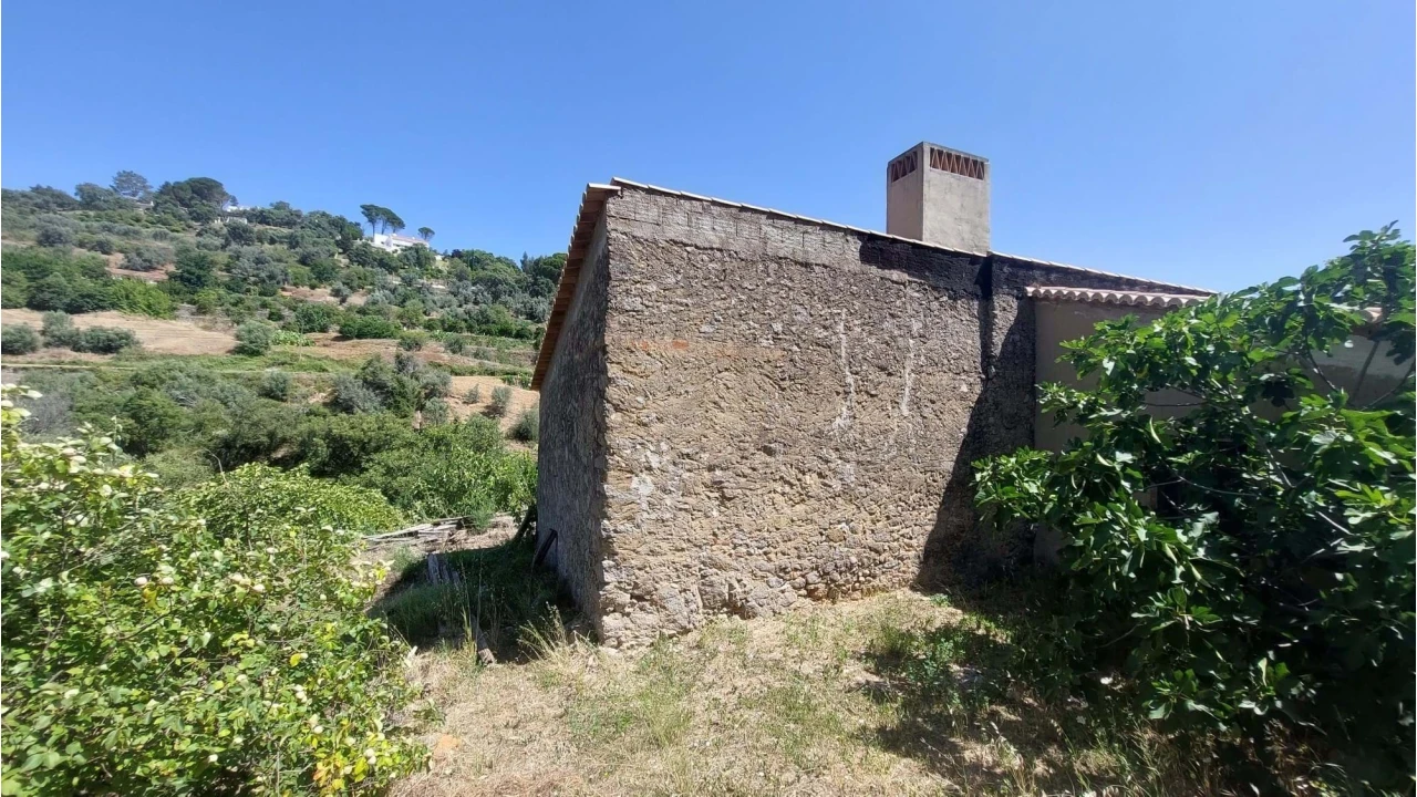 Quinta T7 para Venda em Monchique Foto 6