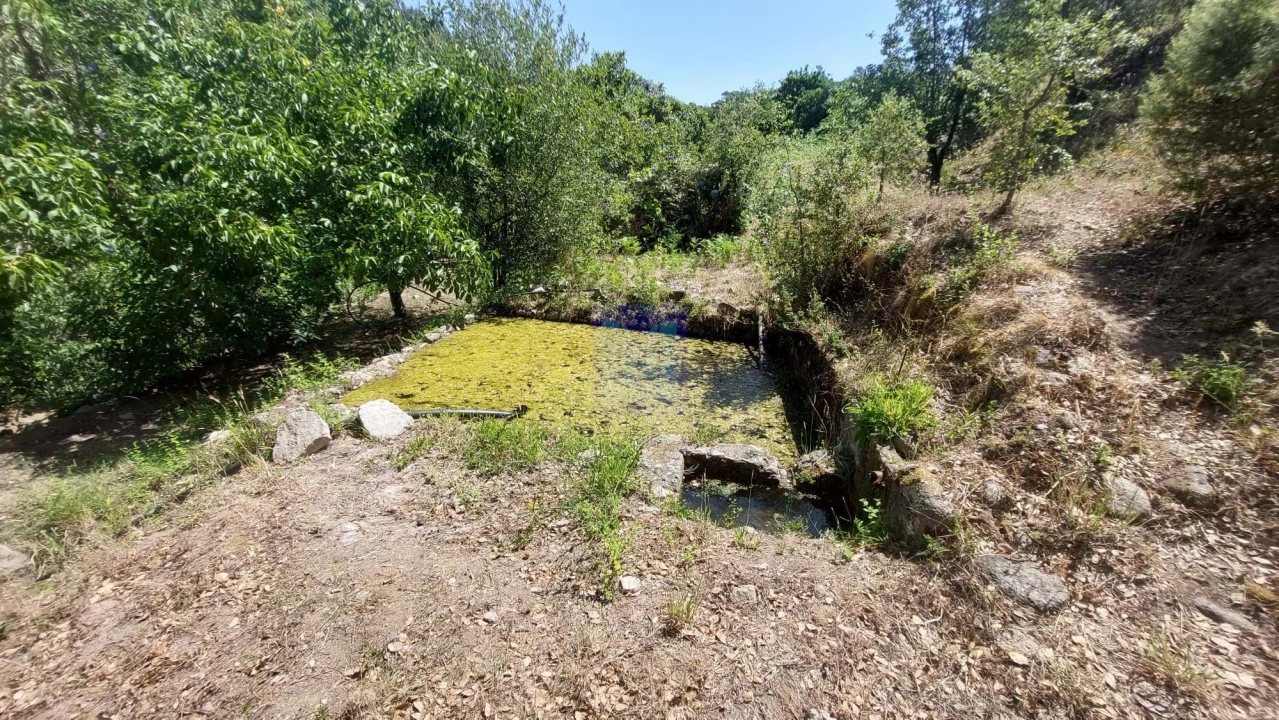 Quinta T7 para Venda em Monchique Foto 1