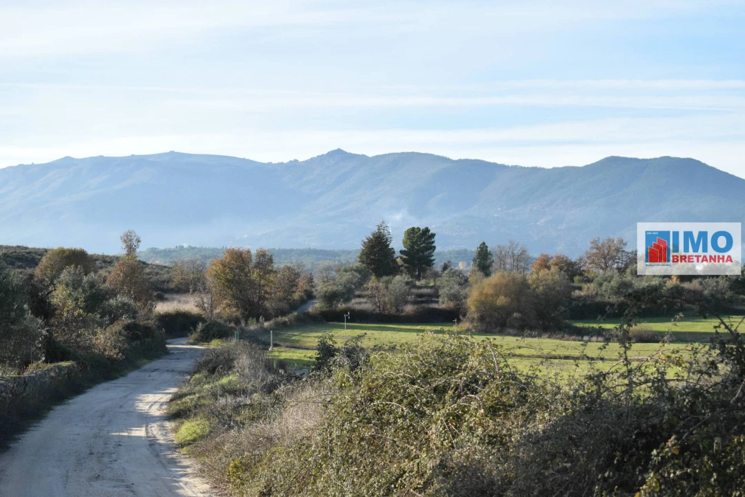 Quinta T0 para Venda em Peraboa Foto 14