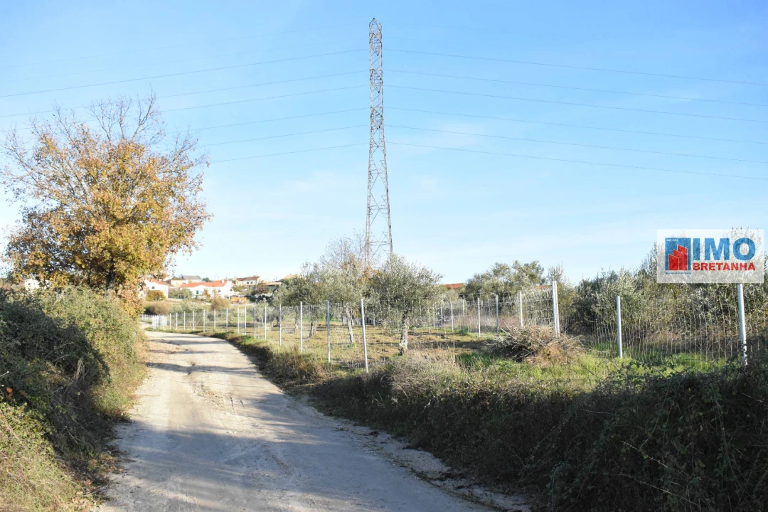 Quinta T0 para Venda em Peraboa Foto 13