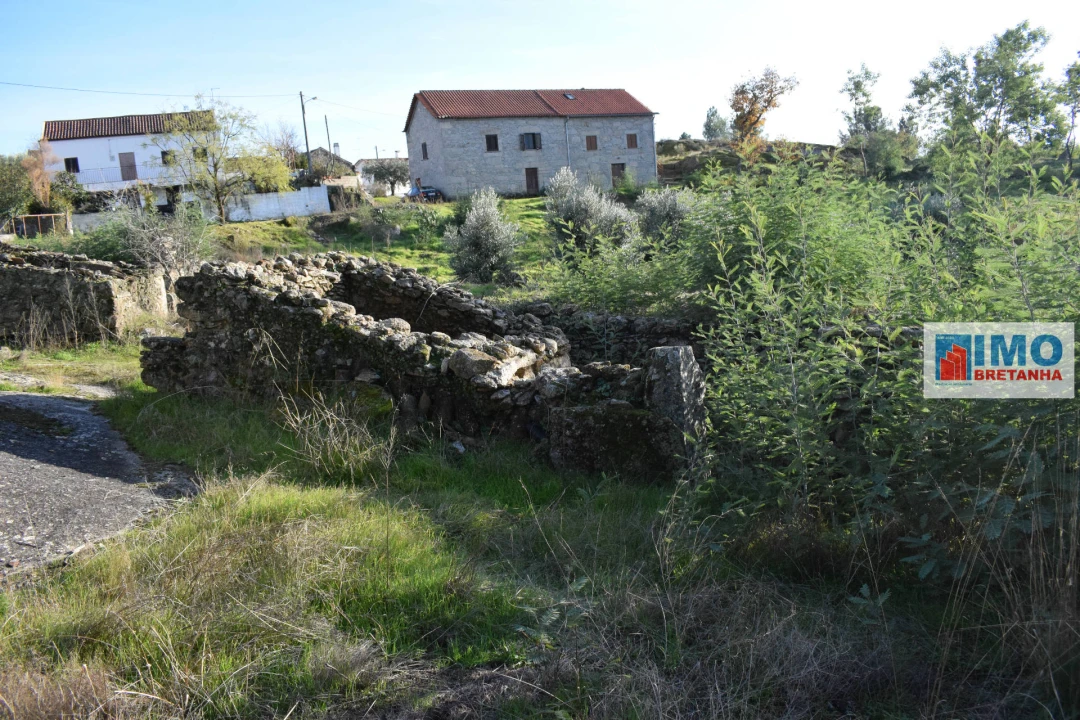 Quinta T0 para Venda em Peraboa Foto 8
