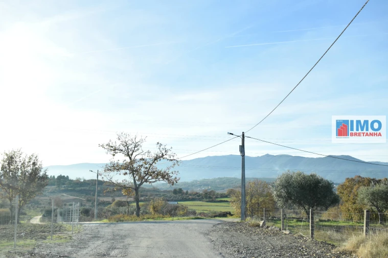 Quinta T0 para Venda em Peraboa Foto 12