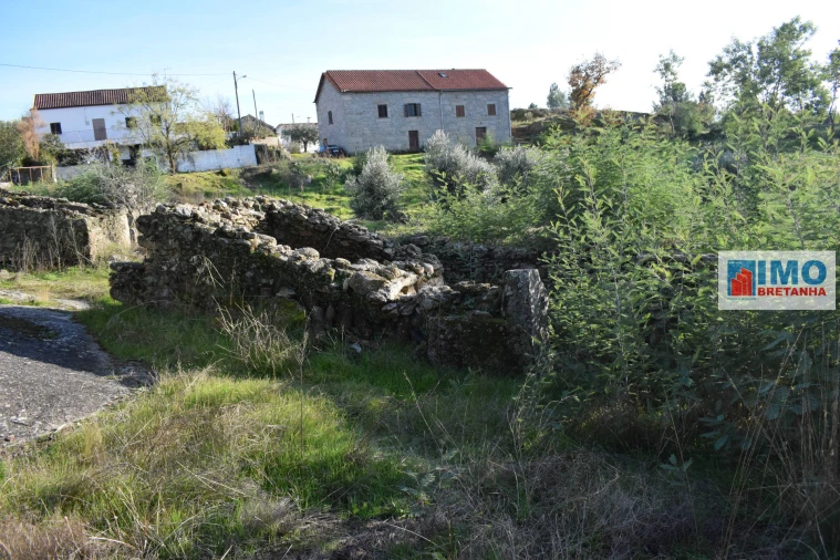 Quinta T0 para Venda em Peraboa Foto 8