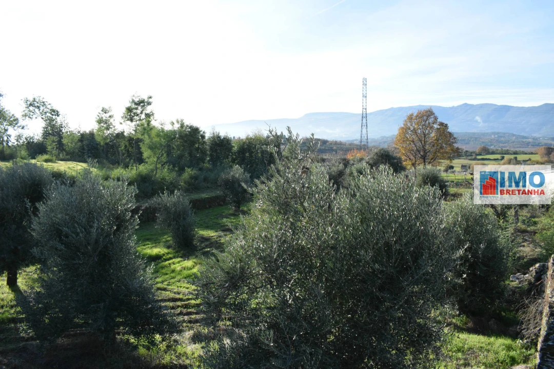 Quinta T0 para Venda em Peraboa Foto 4