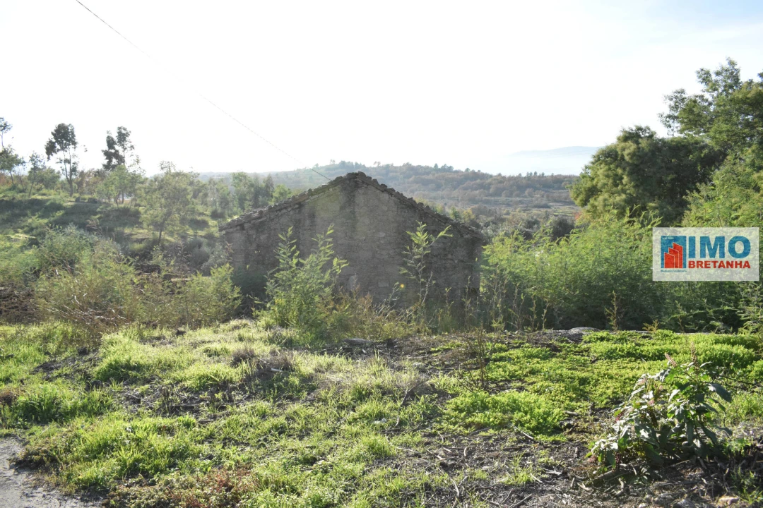 Quinta T0 para Venda em Peraboa Foto 11